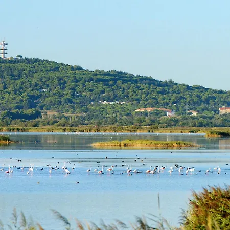 Port Richelieu 1 By Interhome *